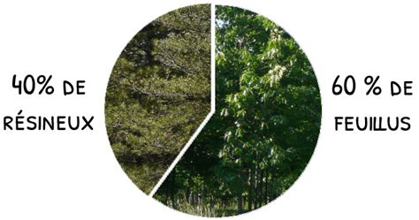 Graphique comparatif des densités de résineux et de feuillus