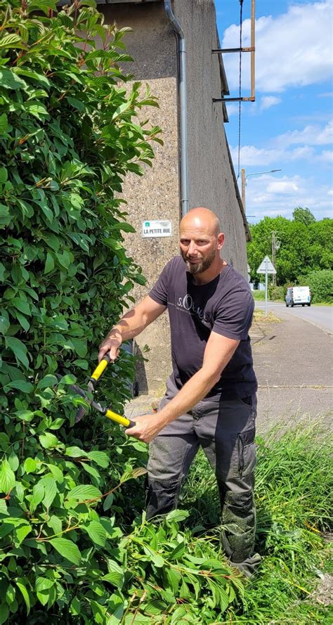 Travaux pratiques de taille et d'entretien d'arbres