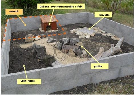 Schéma d'un enclos de tortue avec aménagement végétal