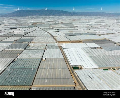 Vue aérienne des serres d'Almeria