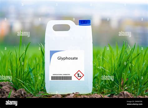 Limites de glyphosate