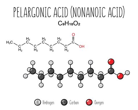 Infographie sur l'acide pélargonique et ses origines