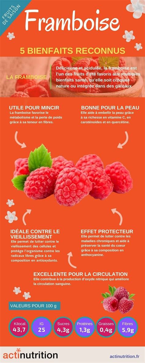 Infographie sur les bienfaits nutritionnels de la framboise