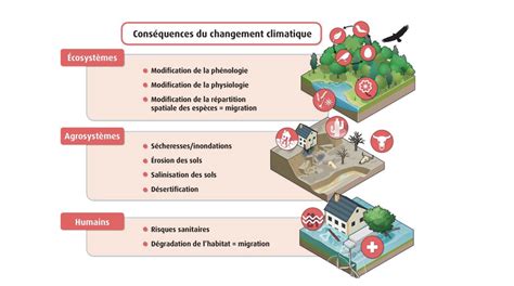 Schéma explicatif des risques climatiques et des garanties d'assurance habitation