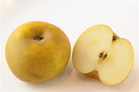 Pomme Reinette Clochard