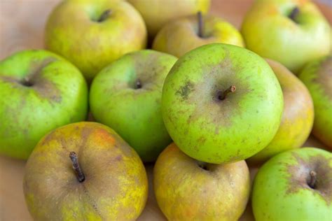 Variétés anciennes de pommes