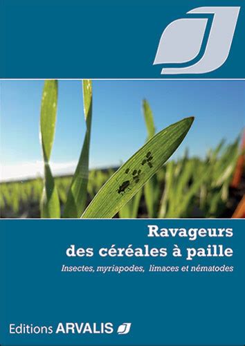 Diagramme illustrant les cycles de vie des principaux ravageurs des céréales