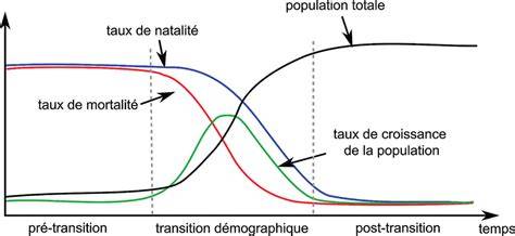 Schéma illustrant la transition nette entre une pelouse et un massif de fleurs