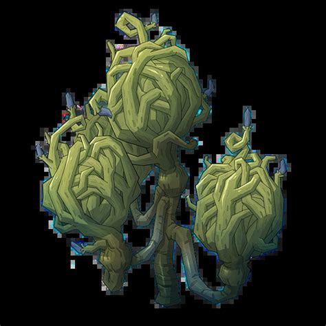 Illustration de la Branchiflore