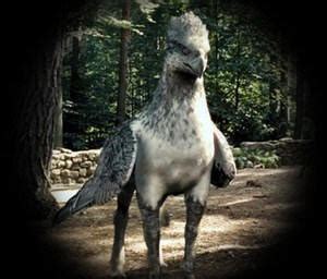 Image d'un Hippogriffe
