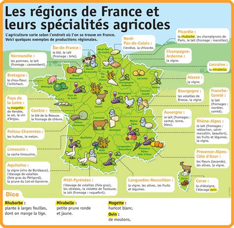 Carte des régions agricoles françaises et leurs spécificités en termes de cultures