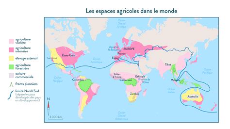 Carte mondiale des zones de production agricole