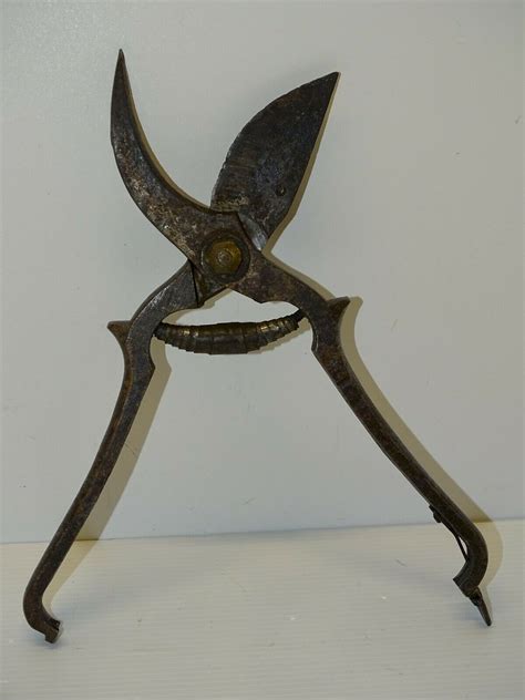 Sécateur ancien avec poignées en cuir abîmées