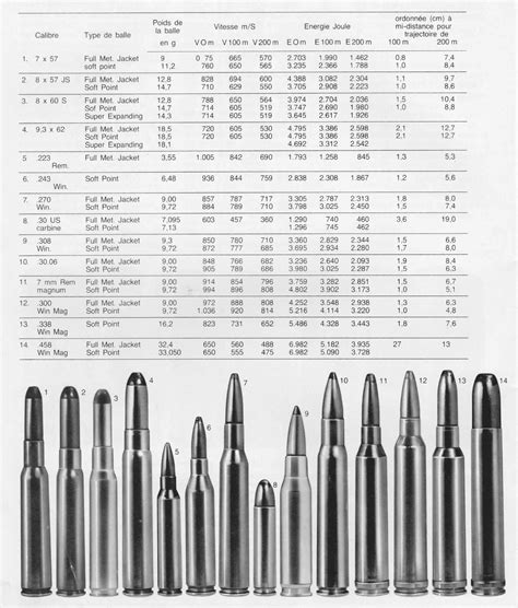 Tableau comparatif des calibres de différents bulbes