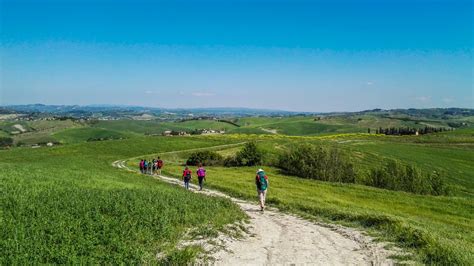 Panorama des collines toscanes sur la Via Francigena