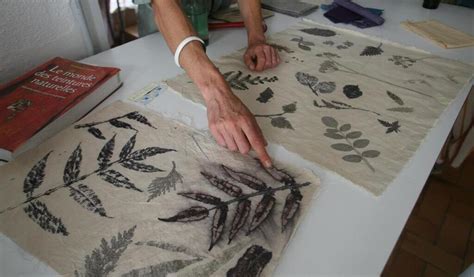 Plantes pour impression végétale