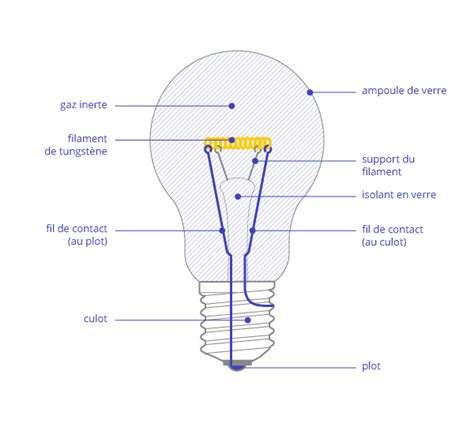 Schéma technique d'une ampoule LED de style Edison montrant le filament interne et le culot E27