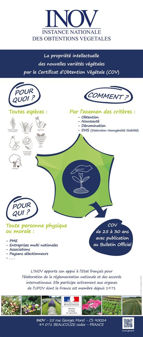 Infographie sur la protection des obtentions végétales (COV et brevets)