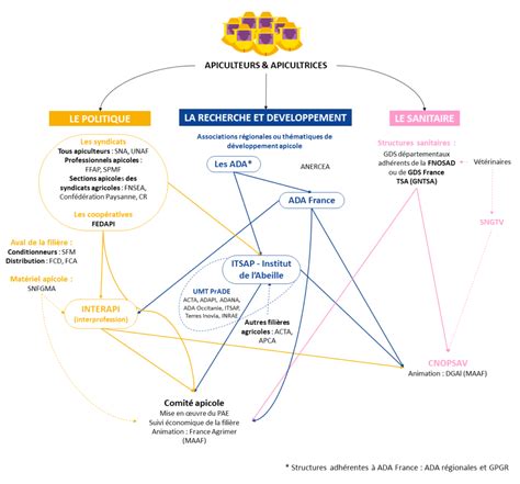 Schéma des acteurs de la filière semencière et leurs interactions