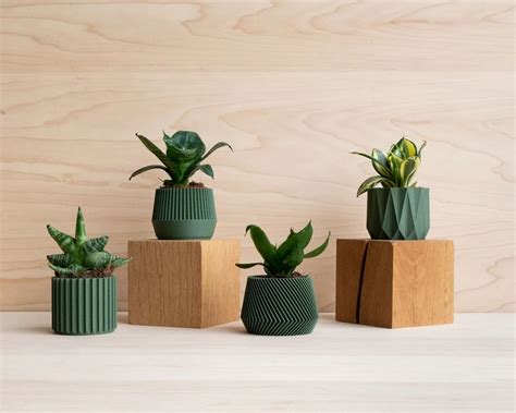 Pots de fleurs imprimés en 3D aux formes et couleurs variées