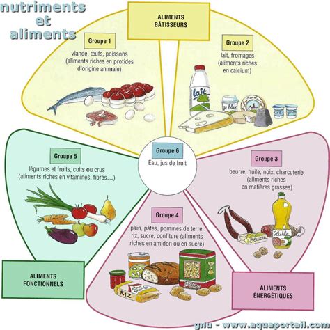 Schéma des nutriments apportés par les algues aux plantes