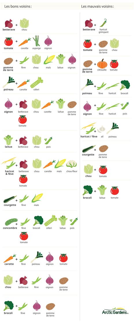 Schéma illustrant la classification des légumes par saison