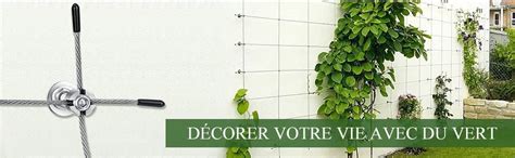 Exemples de supports esthétiques pour plantes grimpantes