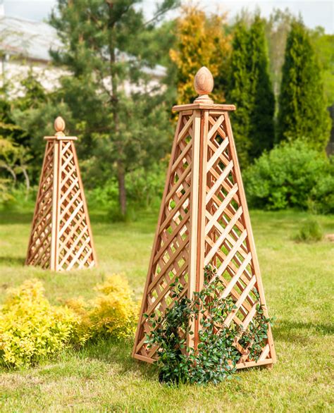 Obélisque de jardin avec plantes grimpantes