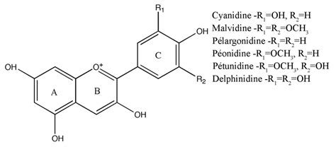 Structure chimique des anthocyanosides