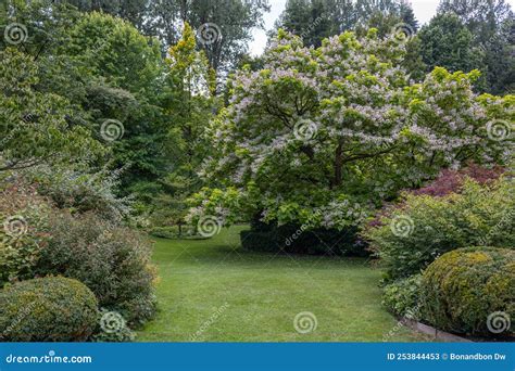 illustration d'un jardin verdoyant avec des semences