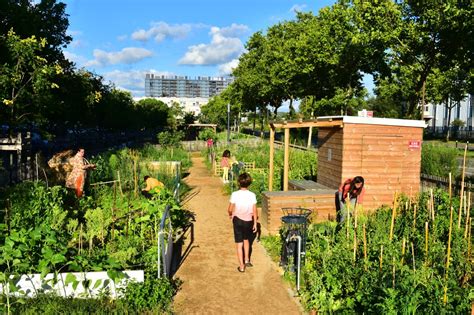Jardin partagé en ville