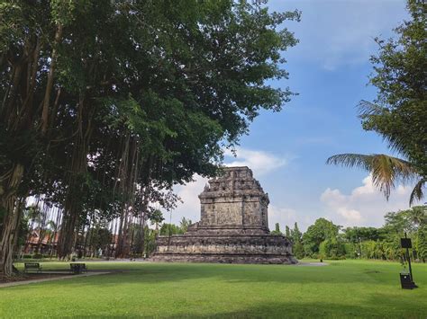 Photographie du temple Mendut avec le figuier géant en arrière-plan