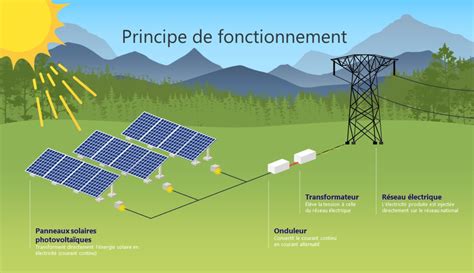 Schéma illustrant le fonctionnement interconnecté d'un RMT entre recherche, développement et terrain agricole