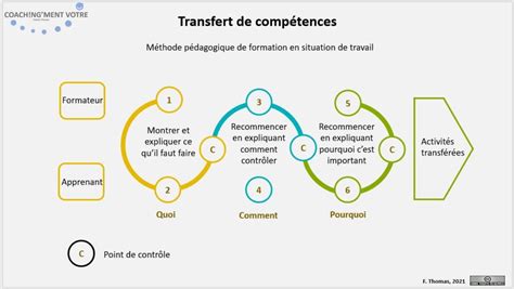 Schéma de la transmission des compétences via le tutorat