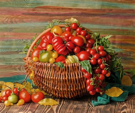 Panier rempli de tomates fraîches