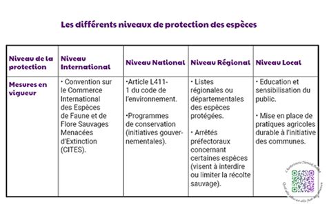 Les différents niveaux de protection juridique