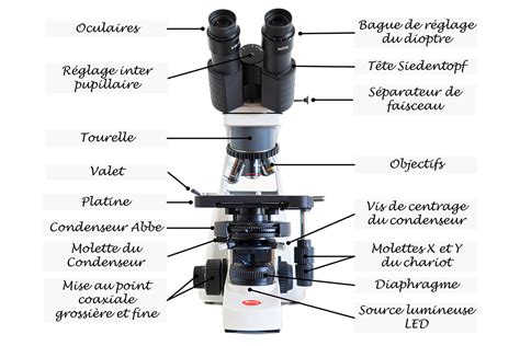 Image d'un sol sous microscope avec indications des éléments analysés