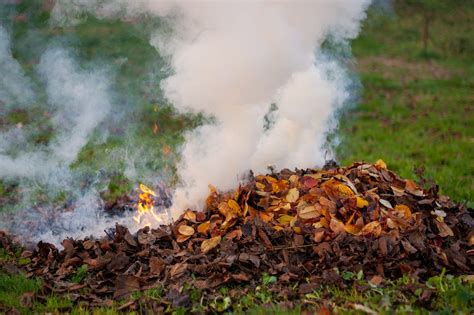 Infographie illustrant les dangers et les interdictions du brûlage à l'air libre des déchets verts.