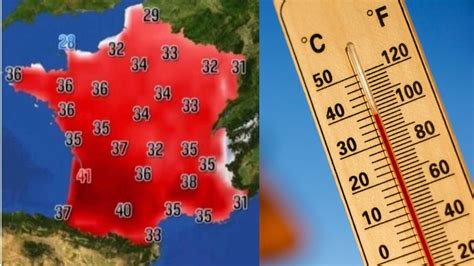 Forêt de Pollionnay après la canicule de 2021