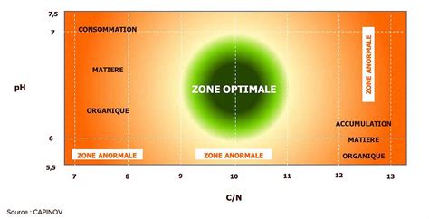Graphique illustrant l'effet du rapport C/N sur la rétention d'azote