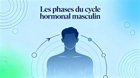 Illustration de l'équilibre hormonal chez l'homme