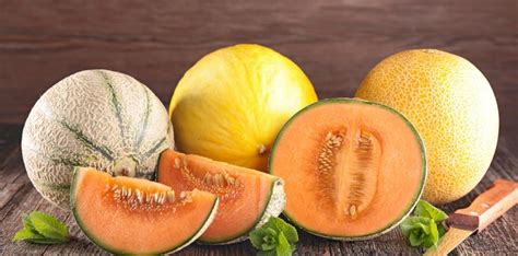 Différentes variétés de melons