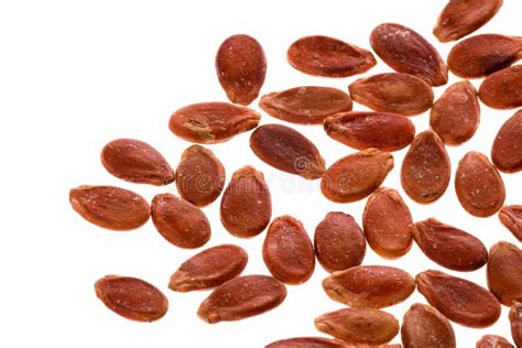 Graines de melon séchées