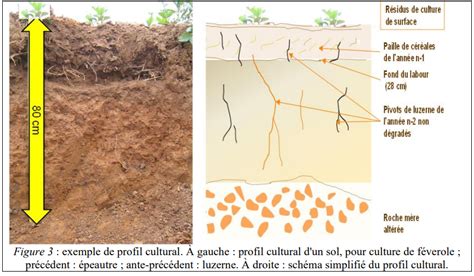 Schéma illustrant l'amélioration d'un sol argileux pour la plantation