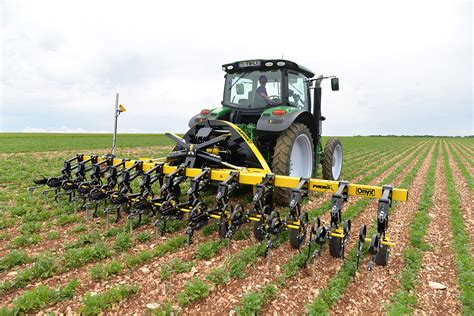 une bineuse agricole travaillant dans un champ