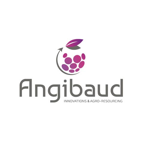 Logo Angibaud avec le texte
