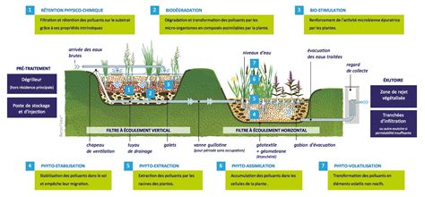 Exemple d'implantation d'un tertre d'infiltration dans un jardin