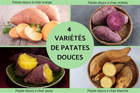 Variétés de patates douces colorées