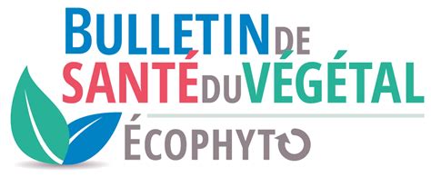 Schéma de fonctionnement du Bulletin de Santé du Végétal