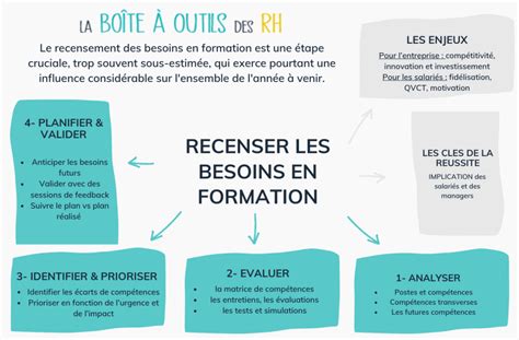 Schéma des besoins en lumière et en sol de la camomille